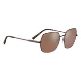 Serengeti Loy SS548001 Shiny Chocolate Brown Polarized Drivers