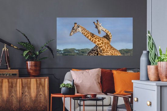 Stickers muraux - Girafes - Animaux - Nature - 120x60 cm - Film adhésif