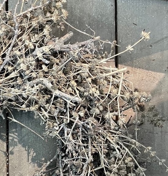 Couronne, krans, grijs, bonsai wild lavender, rond 60 cm