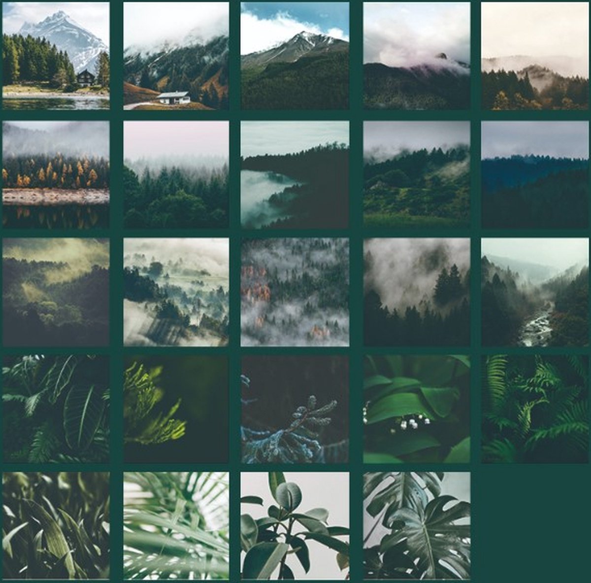 46 Stickers Natuur - EN24 - Bomen, Natuur, Vallei, Bergen, In Groentinten, Vierkante Stickers - Stickerdoosje - Voor Scrapbook Of Bullet Journal - Agenda Stickers - Decoratie Stickers — afbeelding 5