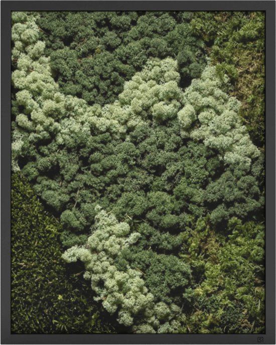 Mosschilderij 80 x 100 cm Portret Zwart - Moswand - Mos decoratie - Plantenwand - Akoestisch Wandpaneel