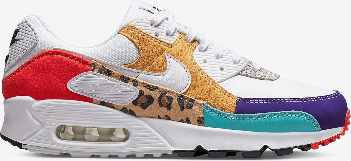 safari