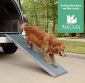 Uitschuifbare Loopplank voor Honden - PetSafe Happy Ride Deluxe Telescoping - Gemakkelijk en Veilig toegang tot auto's & meubels - M