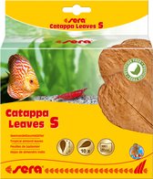 Catappa Leaves S 10 – 15 cm 10 st
