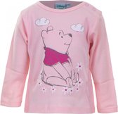 Disney Baby - 2 Baby T-Shirts - Longsleeves - Winnie de Poeh - Mt 62/68