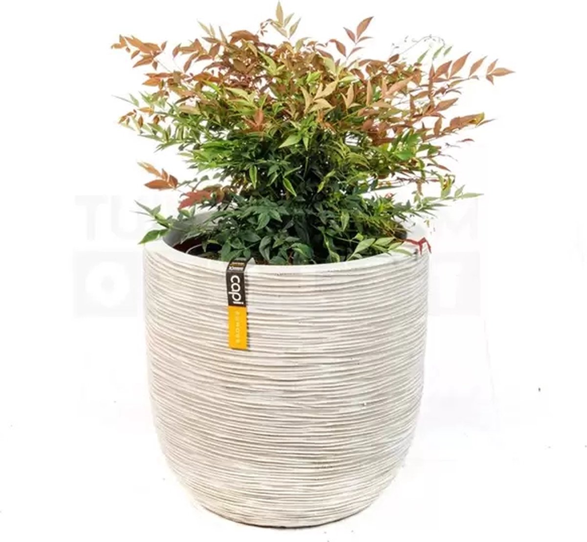 Pot bol Rib NL 43x41 ivoor + Nandina