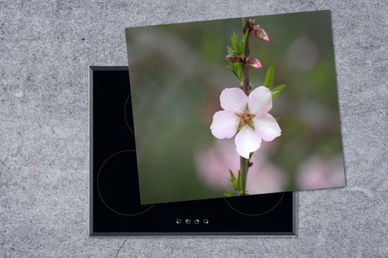 KitchenYeah® Inductie beschermer 58.3x51.3 cm - Bloem van de amandel - Kookplaataccessoires - Afdekplaat voor kookplaat - Inductiebeschermer - Inductiemat - Inductieplaat mat