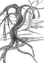 Kunstkaart Bomen 10 - wenskaart - zwart - wit