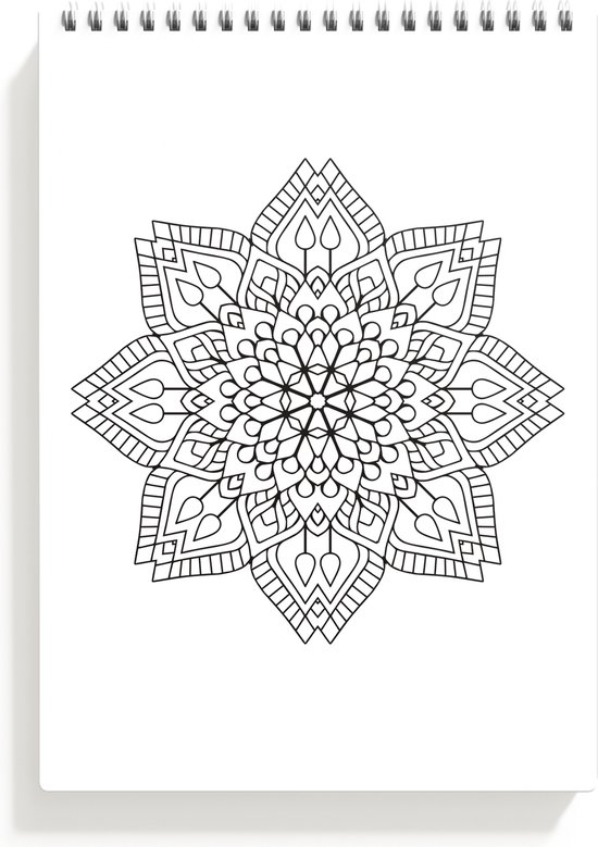 Bloc de coloriage adultes - 25 x 20cm - 20 feuilles - modèle : egypte - La  Poste