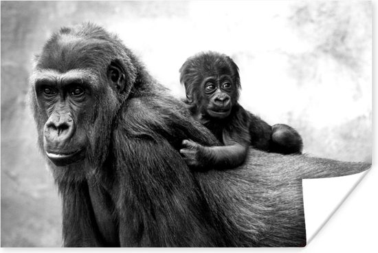 Poster Illustratie gorilla met jong - zwart wit - 60x40 cm