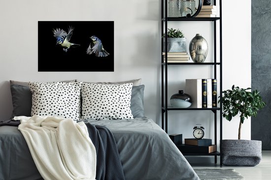 Poster Flycatchers sur fond noir papier 60x40 cm - Tirage photo sur Poster (décoration murale salon / chambre) / Poster Animaux sauvages