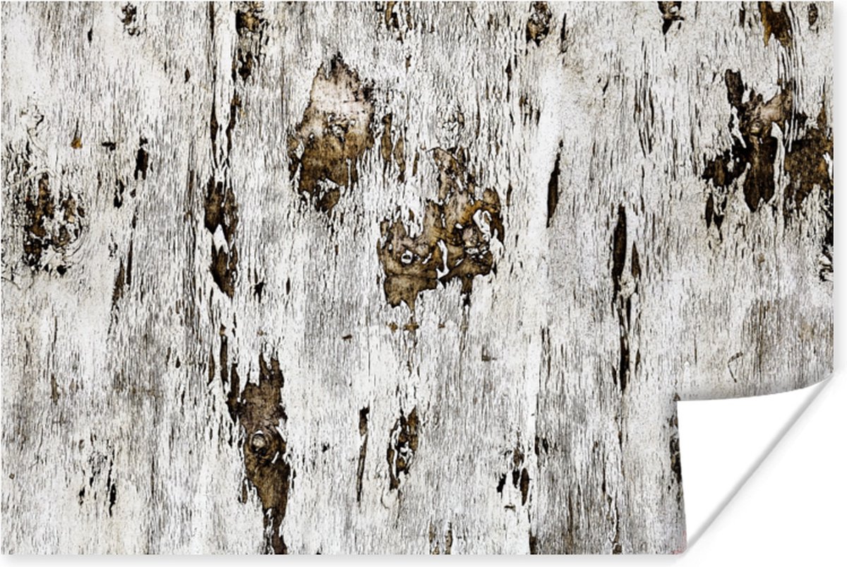 Poster Berk - Wit - Hout - 60x40 cm