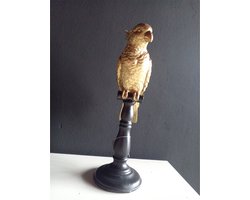 Gouden hars papegaai h33 pauw, goud