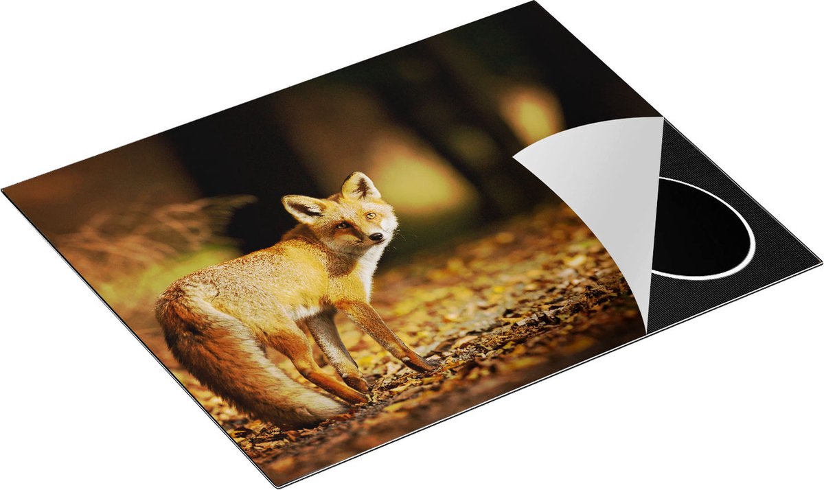 Chefcare Inductie Beschermer Vos in het Herfstbos - 65x50 cm - Afdekplaat Inductie - Kookplaat Beschermer - Inductie Mat