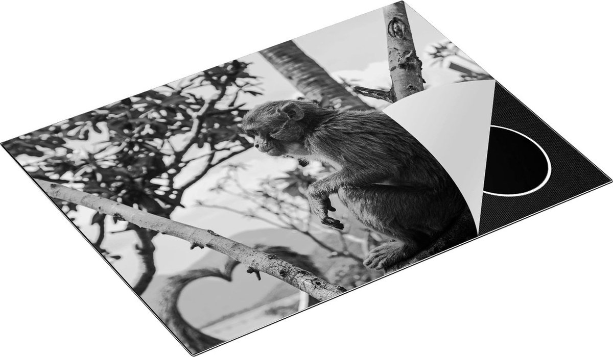 Chefcare Inductie Beschermer Aap in de Boom - Zwart Wit - 70x52 cm - Afdekplaat Inductie - Kookplaat Beschermer - Inductie Mat