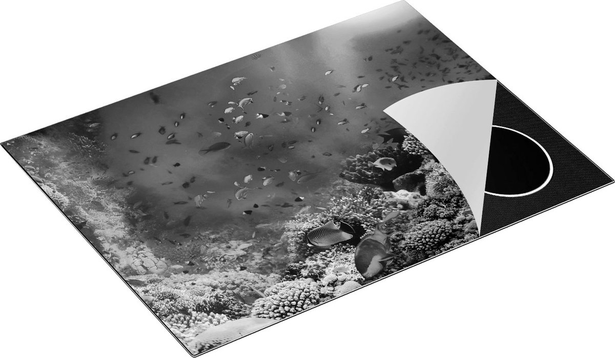 Chefcare Inductie Beschermer Onderwater Vissen met Koraal in de Zee - Zwart Wit - 70x52 cm - Afdekplaat Inductie - Kookplaat Beschermer - Inductie Mat