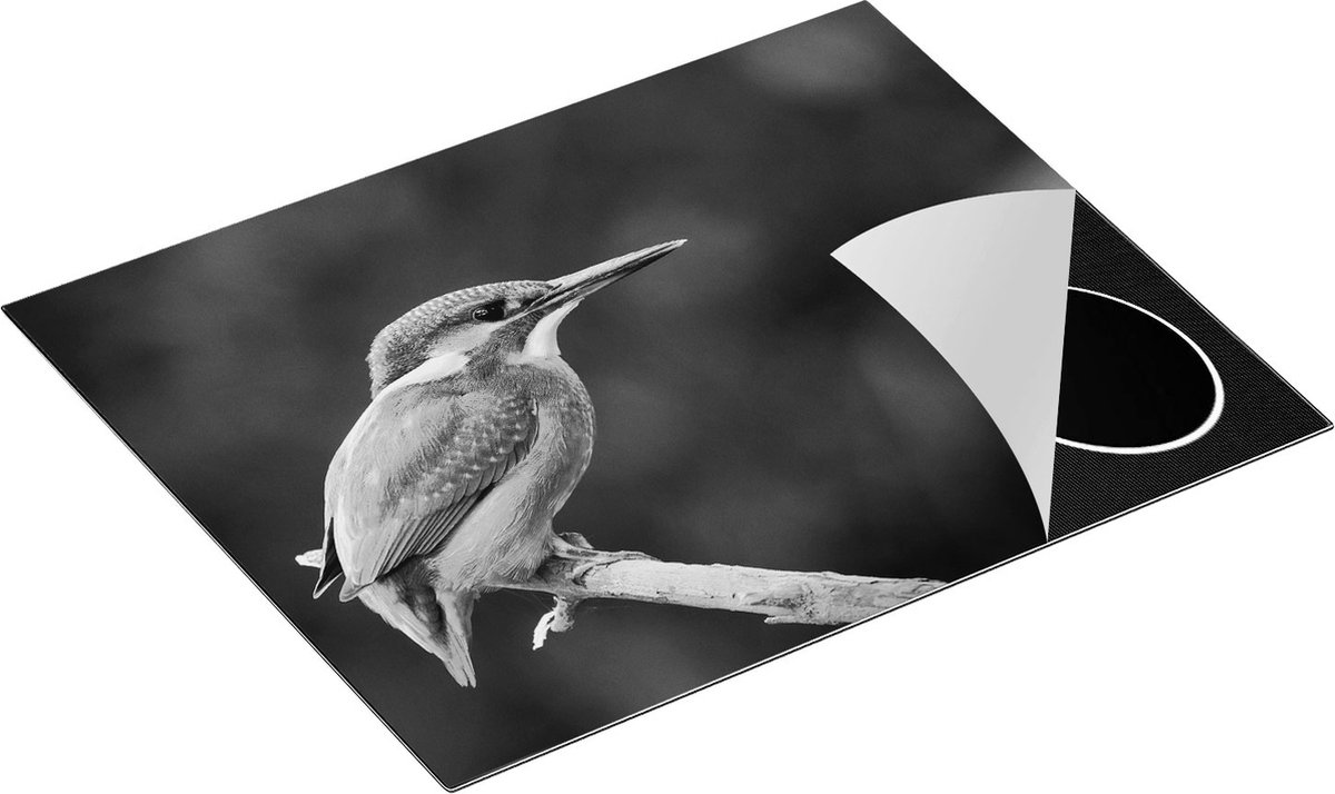 Chefcare Inductie Beschermer Blauwe IJsvogel op een Tak - Zwart Wit - 65x50 cm - Afdekplaat Inductie - Kookplaat Beschermer - Inductie Mat