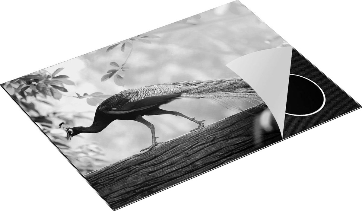 Chefcare Inductie Beschermer Pauw Loopt op een Tak in de Natuur - Zwart Wit - 70x55 cm - Afdekplaat Inductie - Kookplaat Beschermer - Inductie Mat