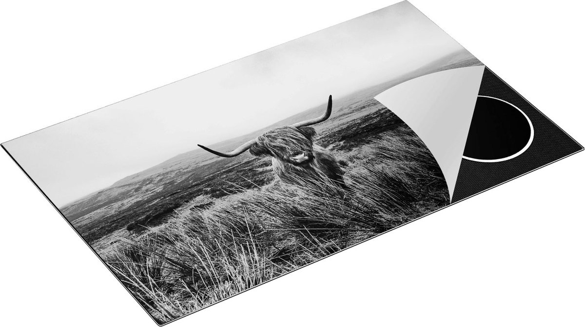 Chefcare Inductie Beschermer Groen Bos met Zonlicht - Zwart Wit - 85x55 cm - Afdekplaat Inductie - Kookplaat Beschermer - Inductie Mat
