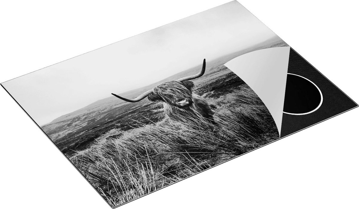 Chefcare Inductie Beschermer Groen Bos met Zonlicht - Zwart Wit - 70x50 cm - Afdekplaat Inductie - Kookplaat Beschermer - Inductie Mat