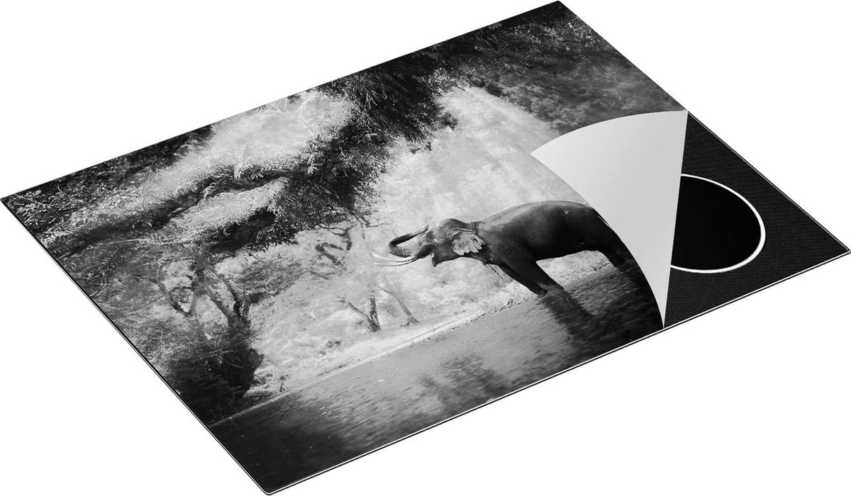 Chefcare Inductie Beschermer Vrolijke Olifant in het Water - Zwart Wit - 71x52 cm - Afdekplaat Inductie - Kookplaat Beschermer - Inductie Mat