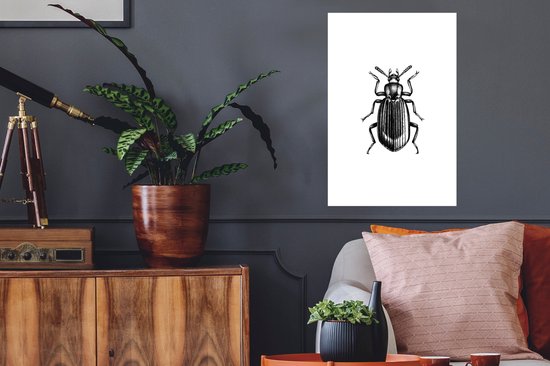 Stickers muraux - Scarabée - Animaux - Vintage - 40x60 cm - Film adhésif