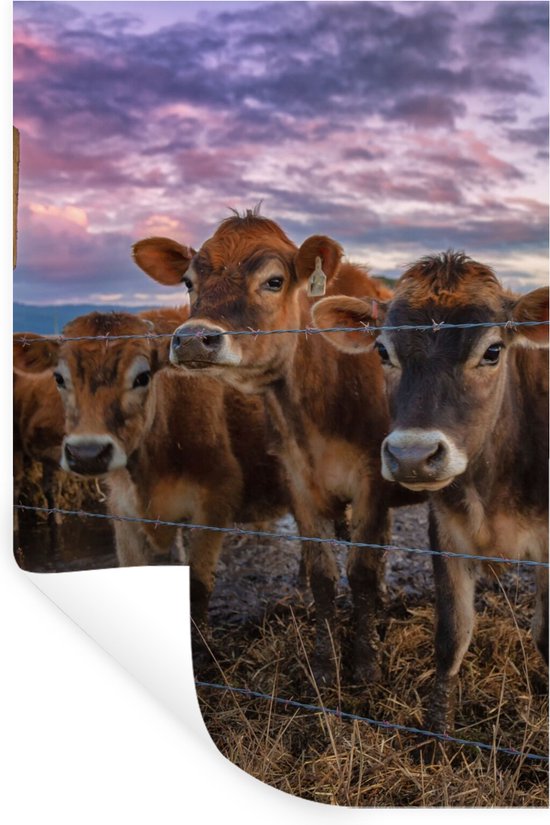 Muurstickers - Sticker Folie - Koe - Dieren - Koeien - 20x30 cm - Plakfolie - Muurstickers Kinderkamer - Zelfklevend Behang - Zelfklevend behangpapier - Stickerfolie