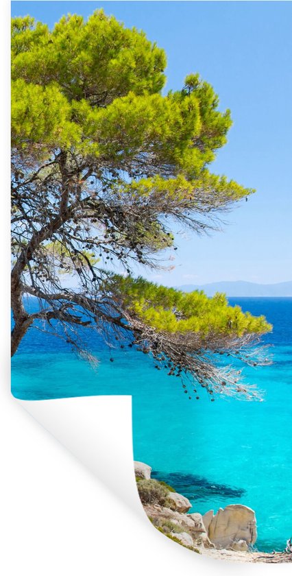 Stickers muraux - Arbre - Mer - Tropical - Été - 80x160 cm - Film adhésif