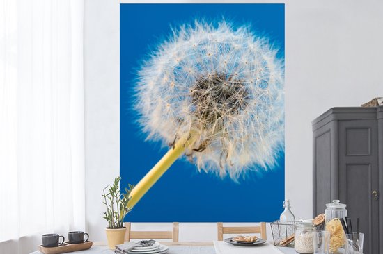 Stickers muraux - Film autocollant - Pissenlit - Bloem - Terrasse - 120x160 cm - Film adhésif - Stickers muraux Chambre d'enfant - Papier peint autocollant XXL