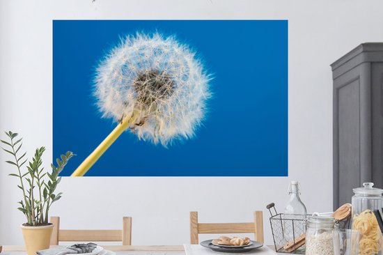 Stickers muraux - Film autocollant - Pissenlit - Bloem - Terrasse - 120x80 cm - Film adhésif - Stickers muraux Chambre d'enfant - Papier peint autocollant