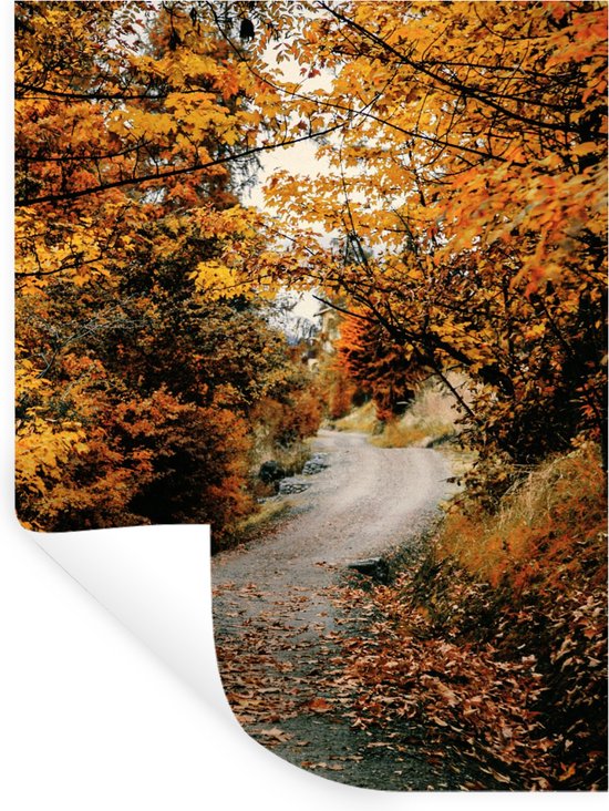 Stickers muraux - Forêt d'automne - Chemin - Feuilles - Rural - 60x80 cm - Feuille adhésive