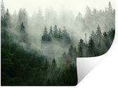 Stickers muraux - Forêt - Brouillard - Arbres - Nature - 160x120 cm - Film adhésif XXL