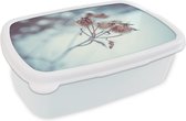 Broodtrommel Wit - Lunchbox - Brooddoos - Planten - Winter - Sneeuw - Natuur - 18x12x6 cm - Volwassenen
