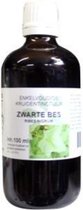 Ribes Nigrum Fol/Zwarte Bes Cr