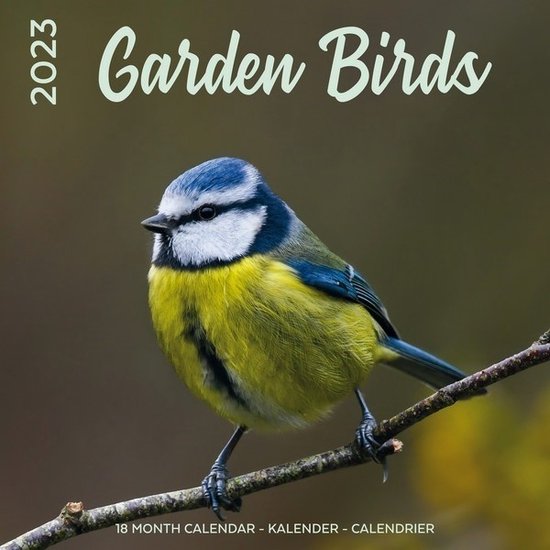 Garden Birds Kalender 2023 bol