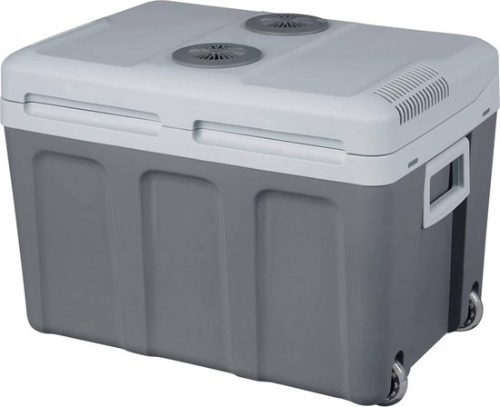 vergiftigen Carry financiën Frigobox 40L Elektrisch - MiniBar - Koelbox - Mini Koelkast - frigobox  elektrisch 12v... | bol.com