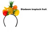 Diadeem tropical fruit - Summertime fun thema feest festival fruit toetje fun tropisch