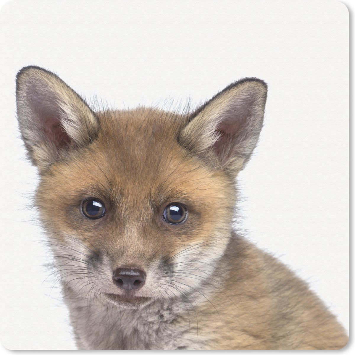 Muismat 30x30 cm - Mousepad Vosje - Dieren - Welp - Jongens - Meisjes - Kind - Muismatten