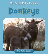 So Cute! Baby Animals - Donkeys