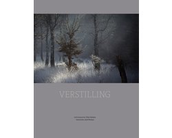 Verstilling