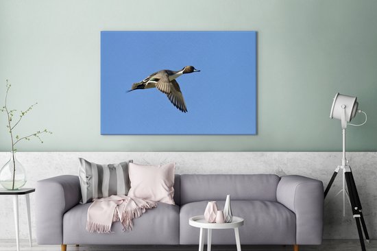 Canard pilet en vol sur toile 120x80 cm - Tirage photo sur toile (Décoration murale salon / chambre)
