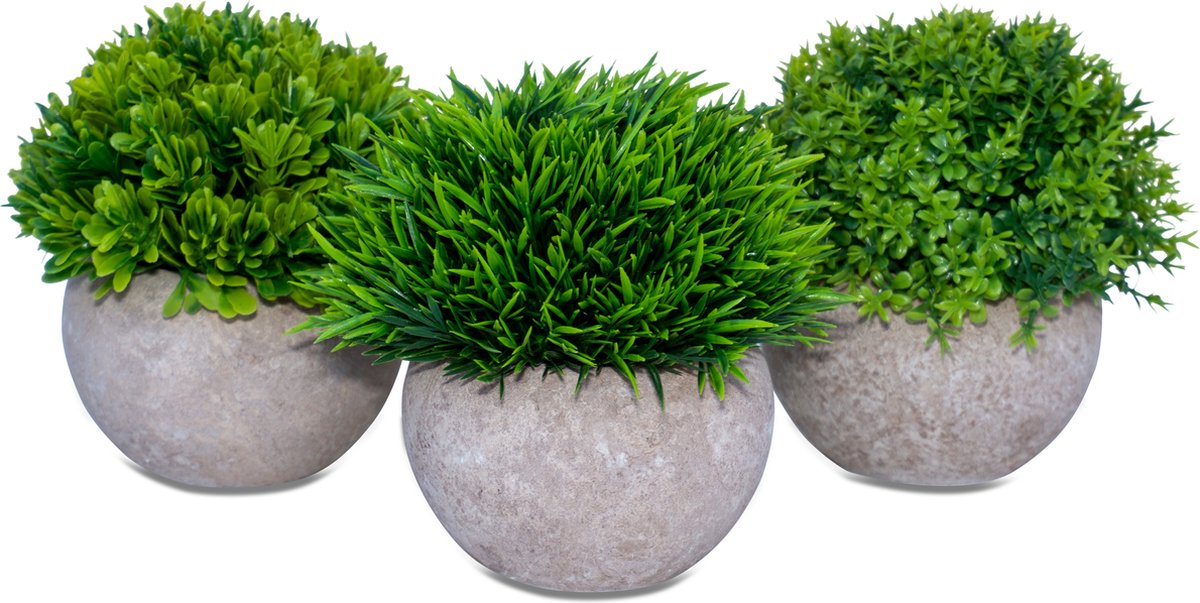 Kunstplanten Voor Binnen Set Van 3 Stuks Nep Planten In Pot 15x12 