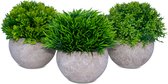 Kunstplanten voor binnen - Set van 3 stuks - Nep planten in pot - 15x12 cm - Decoratie