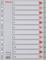 Esselte Kunststof Index 1-12 met Perforatiegaten - Tabblad voor A4 Documenten - Grijs
