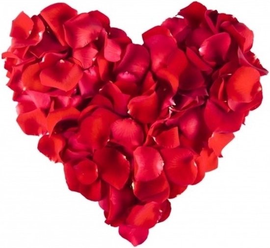 Klagen Potentieel Origineel Rode rozenblaadjes 500 stuks - Valentijnsdag - valentijn decoratie /  versiering | bol.com