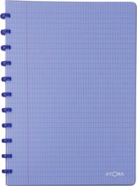 Atoma Trendy schrift, ft A4, 144 bladzijden, commercieel geruit, transparant blauw