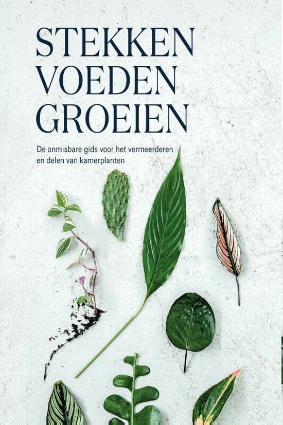 Stekken, voeden, groeien – Caro Langton, Rose Ray