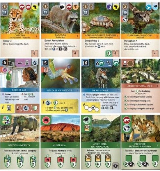 Kaarten van Ark Nova, met dieren als cheeta, wasbeer, schildpad, uil, olifant, tijger en leeuw.