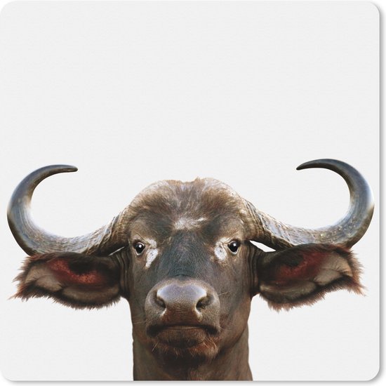 Muismat XXL 60x60 cm - Bureau onderlegger - Bureau mat Buffel - Waterbuffel - Kop - Koe - Horens - Jongens - Meisjes - Bureaumat - Gaming mousepad xl - Bureaulegger groot - Computer deskmat