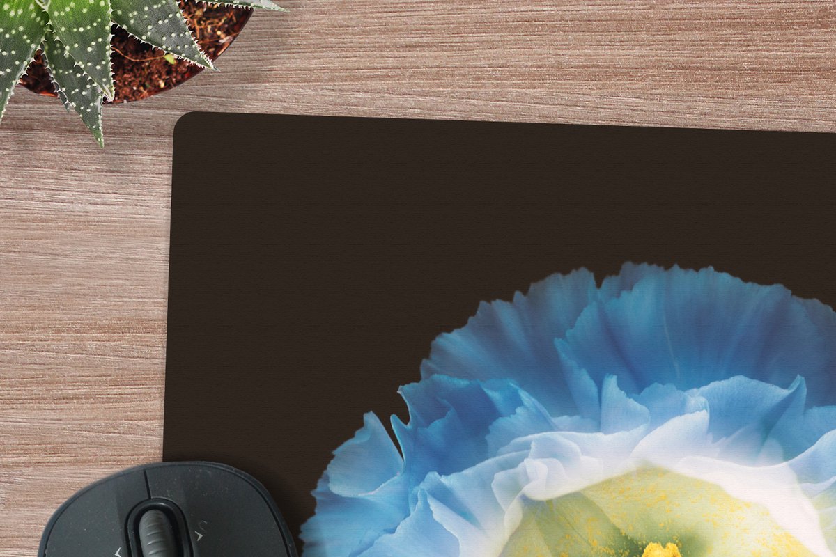 Muismat XXL 80x80 cm - Bureau onderlegger - Bureau mat Een close up van een blauwe bloem op een zwarte achtergrond - Bureaumat - Gaming mousepad xl - Bureaulegger groot - Computer deskmat